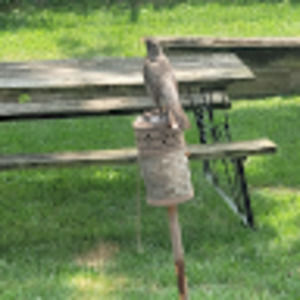 Meet your Posher, Austin